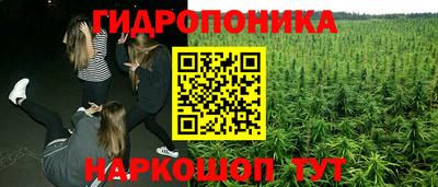 эйфоретик Бугуруслан