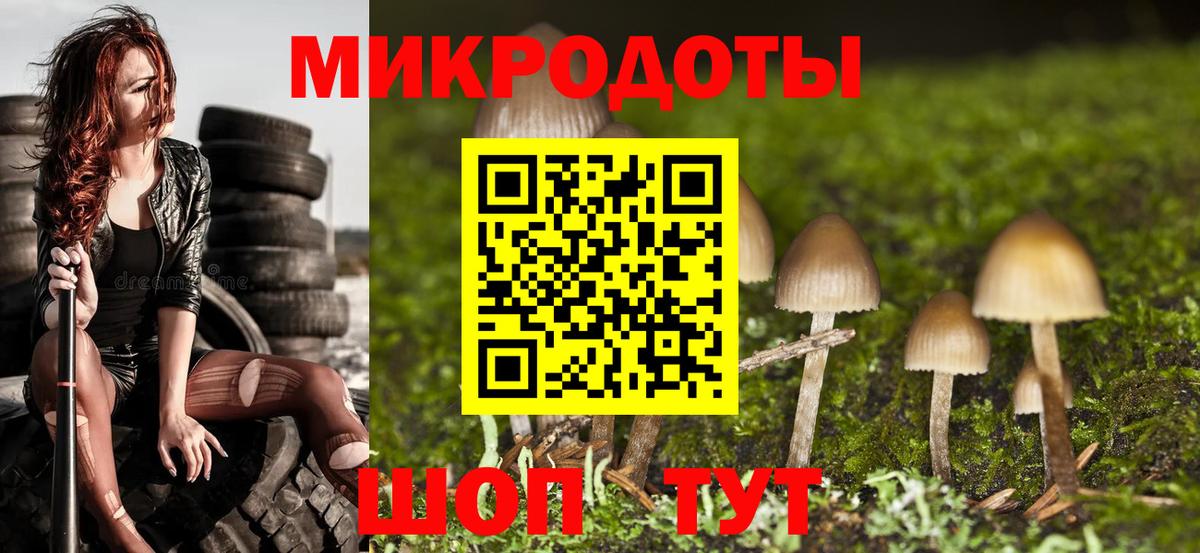 Псилоцибиновые грибы прущие грибы  Вход с VPN  Самара  Псилоцибиновые грибы мухоморы 
